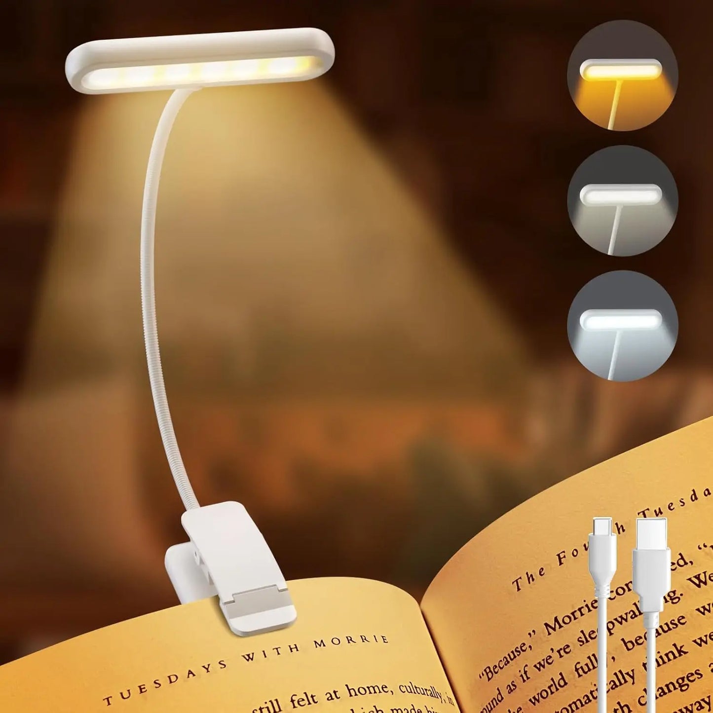 LED reading light