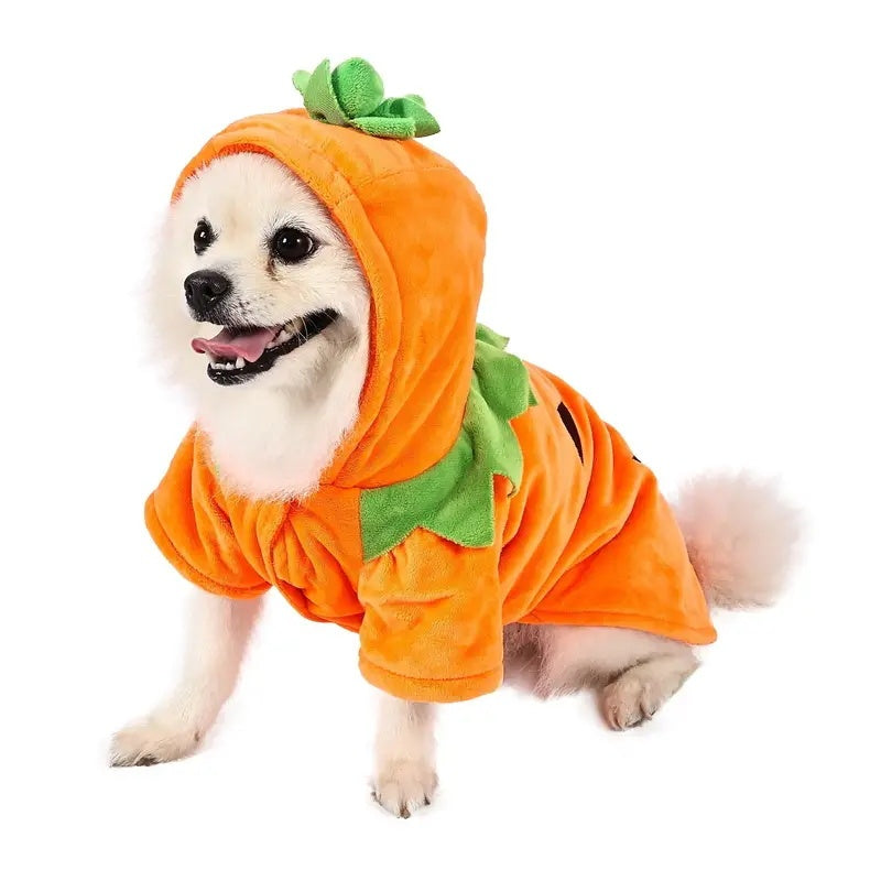 Halloween Pumpkin Dog Costume Hoodie