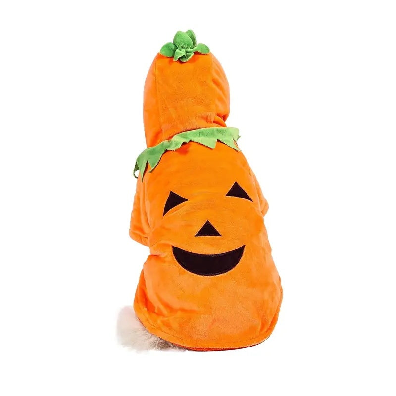 Halloween Pumpkin Dog Costume Hoodie
