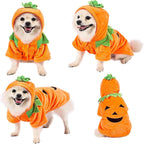Halloween Pumpkin Dog Costume Hoodie