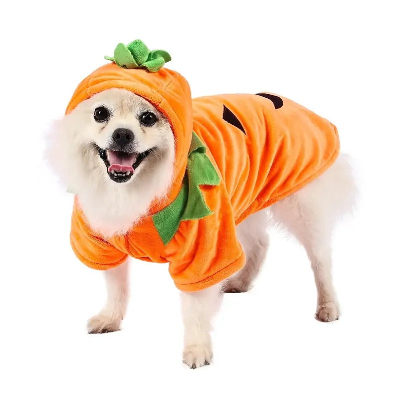 Halloween Pumpkin Dog Costume Hoodie