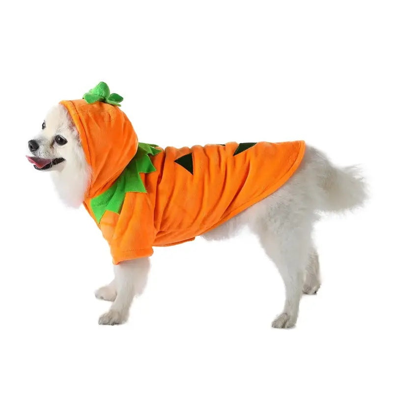 Halloween Pumpkin Dog Costume Hoodie