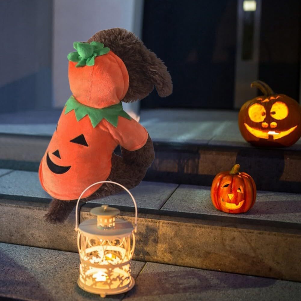 Halloween Pumpkin Dog Costume Hoodie